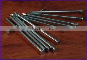 Polished Common Nails