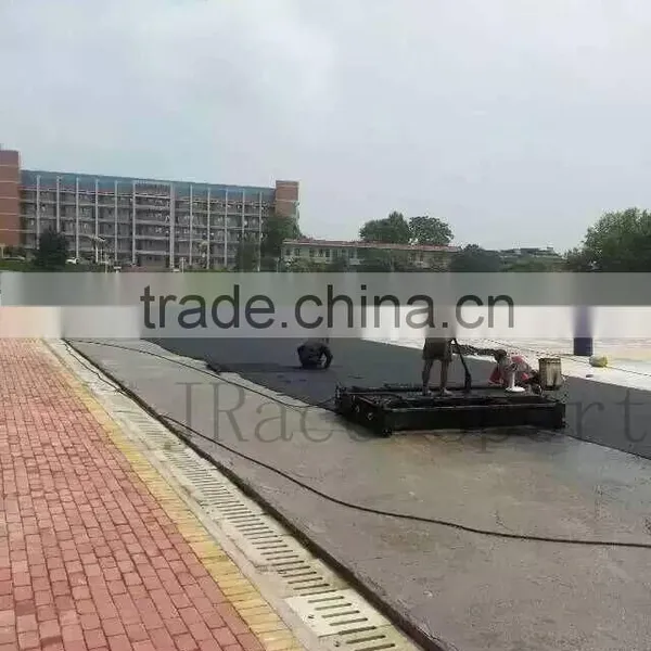 Colorful Design Plastic Runway Guangdong for Sale photo-3