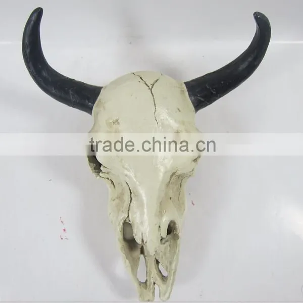 Human and Animal Resin Skull,Customized Skull photo-5
