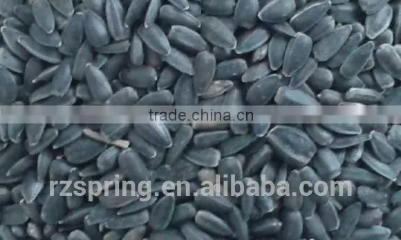 BLACK SUNFLOWER SEEDS photo-6