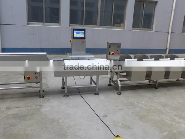 3-12 Level Weight Sorting Machine, Check Weigher to Sort and Weigh Chicken Breast Fillets. Ranging From 5g to 1500g. photo-2