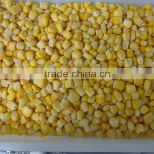 Non-GMO Frozen Sweet Corn Kernels IQF Sweet Corn Kernels photo-6