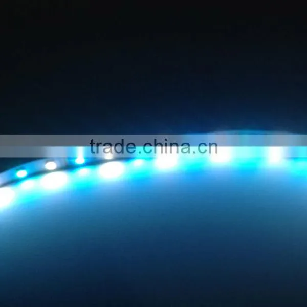 RGBW Double Row SMD5050 SMD3528 Waterproof Led Strip Light photo-5