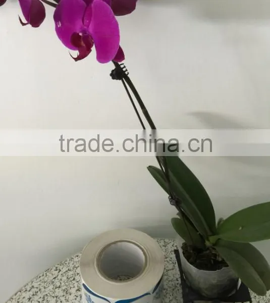 Hot Sale High Quality Vinly Bopp Material Wine Sticker Printed Self-adhesive Labels photo-3