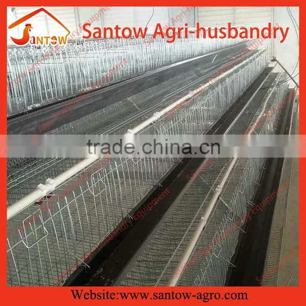 Battery Pullet Rearing Cage Poultry Equipment photo-5