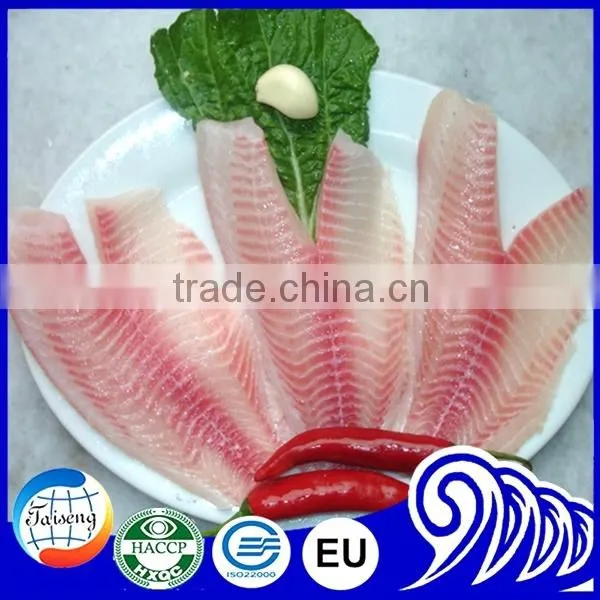 Bulk Tilapia Fillet for Tilapia Buyer photo-2
