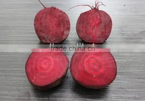 Canned Beetroot Dices A10 photo-4