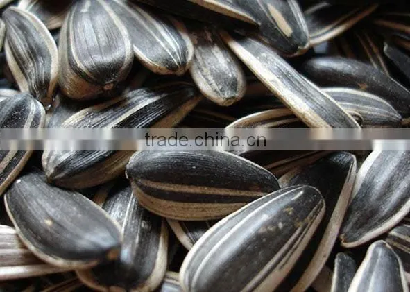 Chinese Sunflower Seed