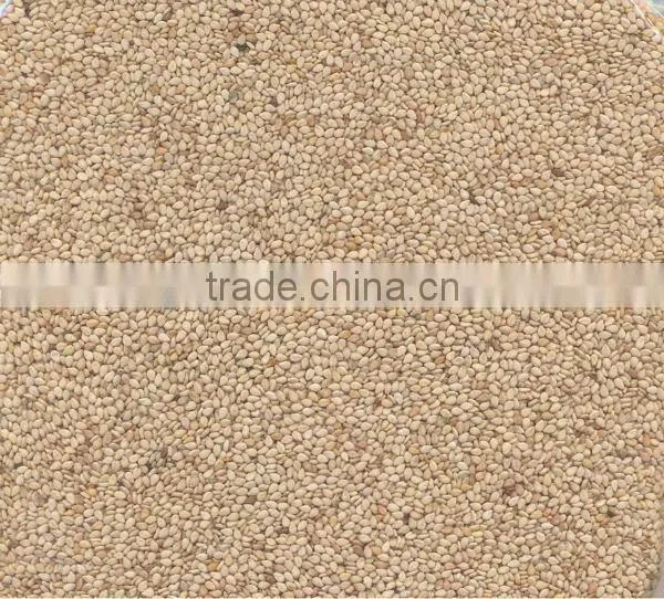 Natural Sesame Seeds, White Sesame Seeds, New Crop Whitish Sesame Seeds photo-3