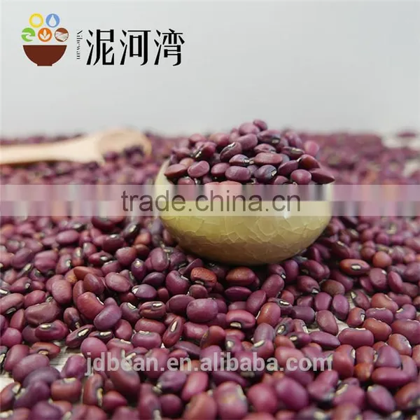 High Quality Red Cowpea Bean photo-2