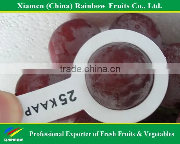 Grapes From China With Sweet Taste photo-6