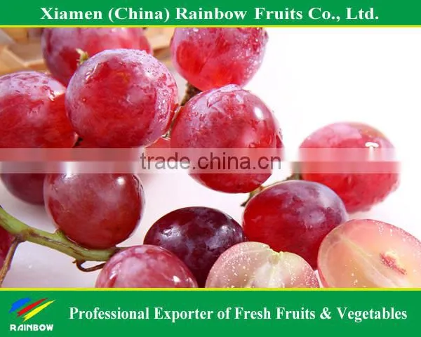 Yunnan Red Globe Grape Fresh Fruit of Red Grape Xinjiang Red Grape From China