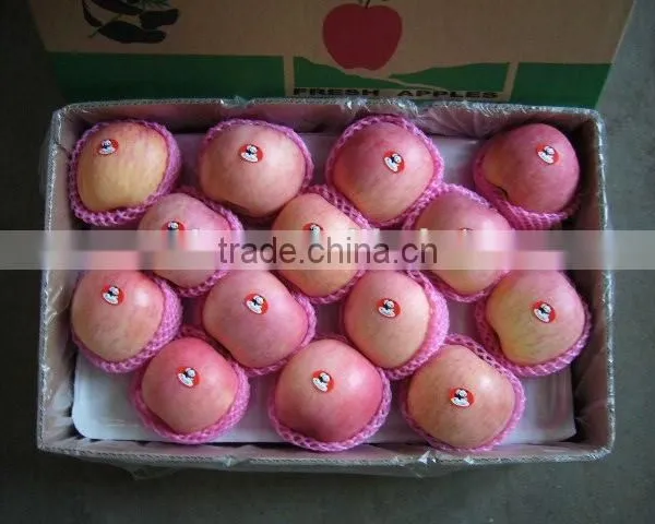 Fresh Fruit Fuji Apple photo-3