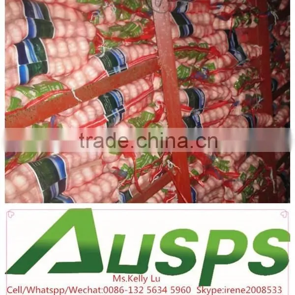 China Garlic Price per Ton photo-4