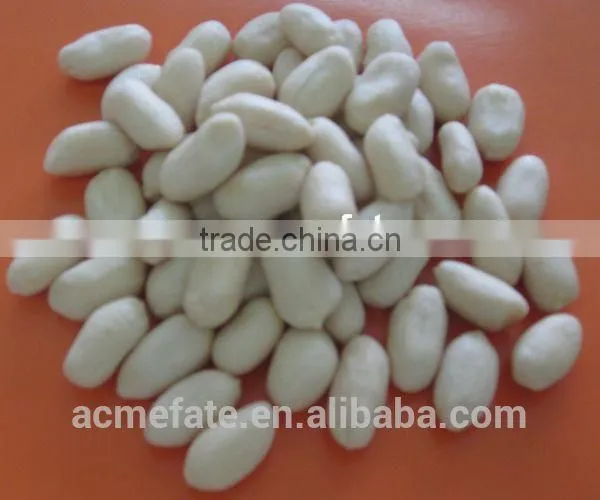 Chinese ISO9001 HACCP Commom Raw Peanut Kernels photo-3