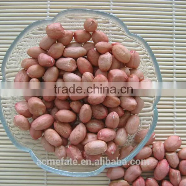 Shandong Long Type Blanched Red Skin Peanut Kernels photo-5