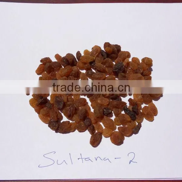 INDIAN SULTANA RAISIN photo-3