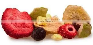 Blueberry Freeze Dried