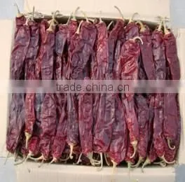 Chinese Manufacturer Supplier A Grade ISO, HACCP, HALAL Certification 80-240 Asta Hot Selling Red Sweet Paprika Chilli photo-2