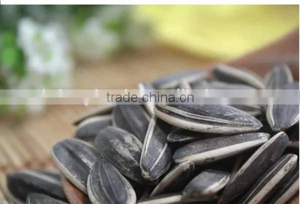 Purity 99.99% Inner Mongolia Sunflower Seeds Price photo-6