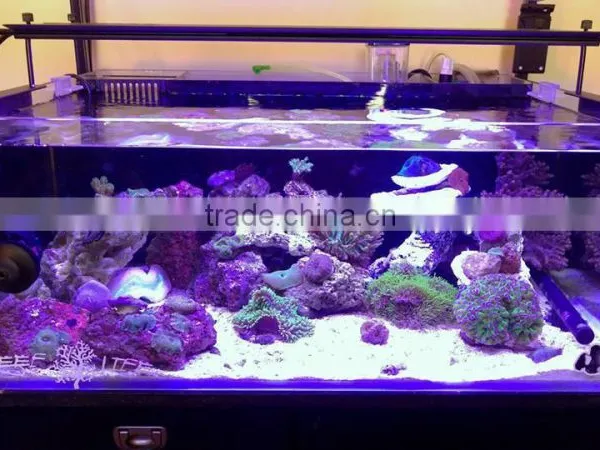 ESUN Polycaprolactone (polymorph)for Coral Reef Frag Glue Application in Aquarium photo-3