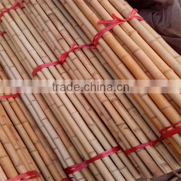 WY-211 Natural Dryness for 12% Straight Garden Tonkin Bamboo Poles Bamboo Canes Bamboo Stakes for Sale photo-3