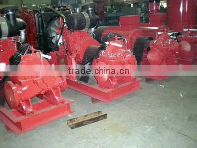 CPS Split Case Pump photo-6