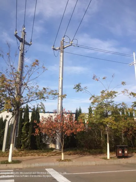 10kv Distribution Momopole photo-3