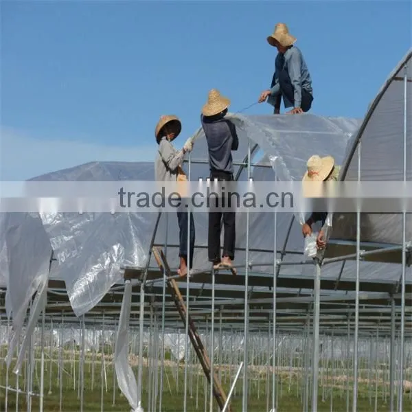 Agricultral Transparent Hdpe uv Resistant Plastic Film for Greenhouse photo-6