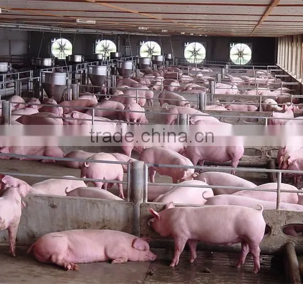 Multi-Span Greenhouse With Roll Up Motor For Ventilation Used For Animals Growing photo-2
