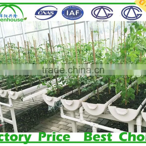 Multi Span Glass Agricultural Greenhouse photo-5
