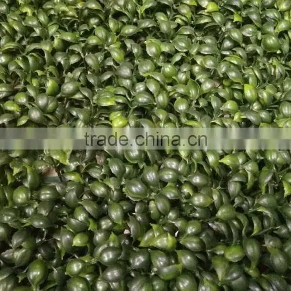 Factory Supply High Quality 60*40cm Artificial Grass Panel Fence photo-3