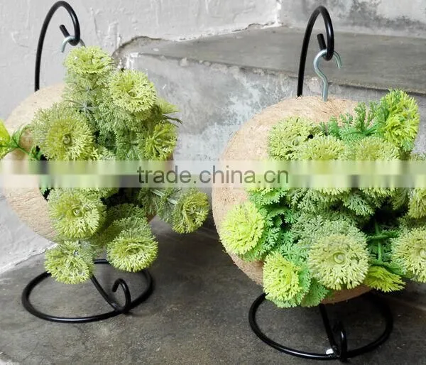 Ex-fty Most Affordable Coconut Box/storage Container for Green Plant photo-3