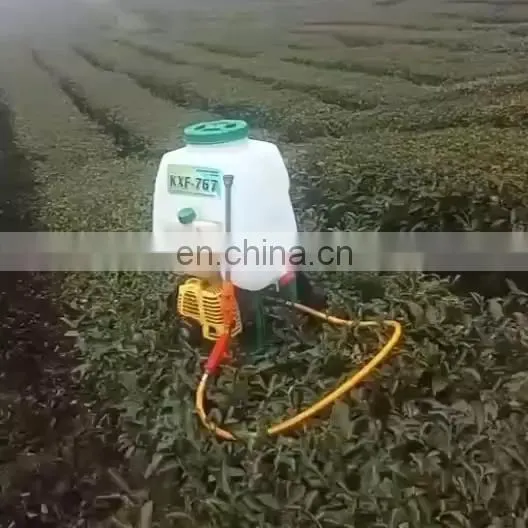 Cheap Spraying Machine Knapsack Portable Gasoline Power Agricultural Sprayer With Engine photo-5