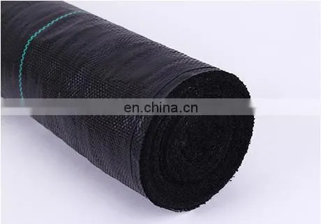 80gsm to 120gsm for New PP Material Black With Green Line for Ground Cover photo-2