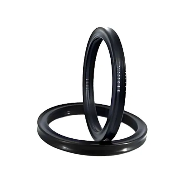 O Rings VA VS Ring Seals for Water Treatment Systems Seals Supplier China photo-2