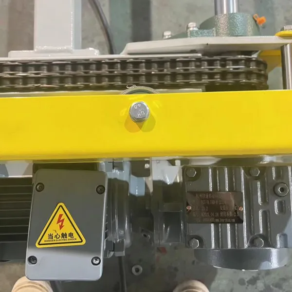 Custom Chain Conveyor for Pallets & Cartons, Automatic Conveying Line photo-4