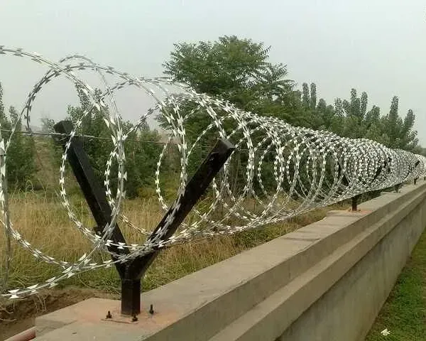 Barbed Wire photo-4
