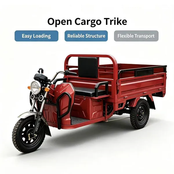 Low Maintenance Electric Three Wheeler for Small Business