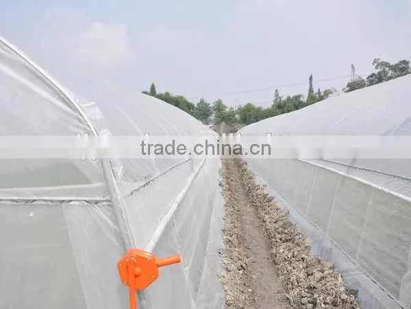 Tunnel Greenhouse for Agriculture photo-2
