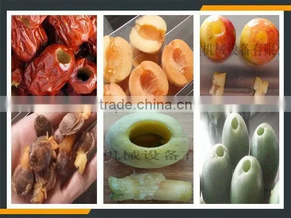 Leader Fruit Process Machine With Website:leaderservice005 photo-6