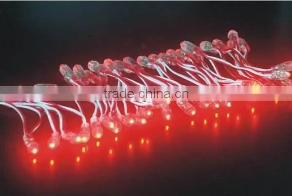Cheap 8mm RGB Pixel Micro Led String Lights photo-4