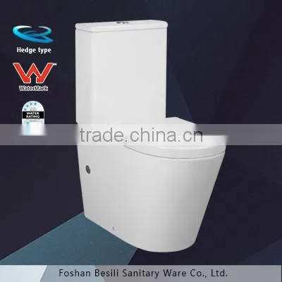 Hedge Type of Flushing Watermark Toilet Suite photo-6