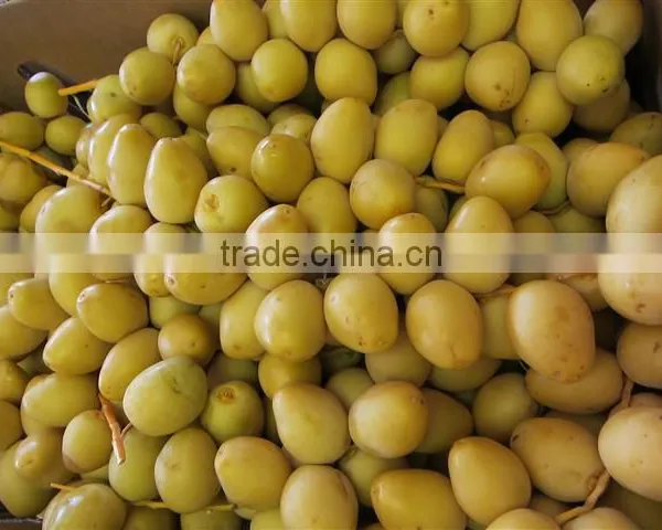 Fresh Dates Fruit