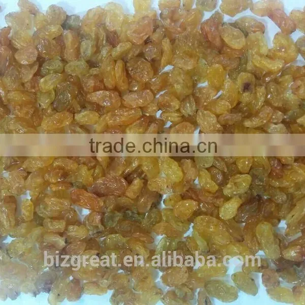 Dried Fruits-Air Dried Sweet Dried Golden Raisins for Sales photo-3