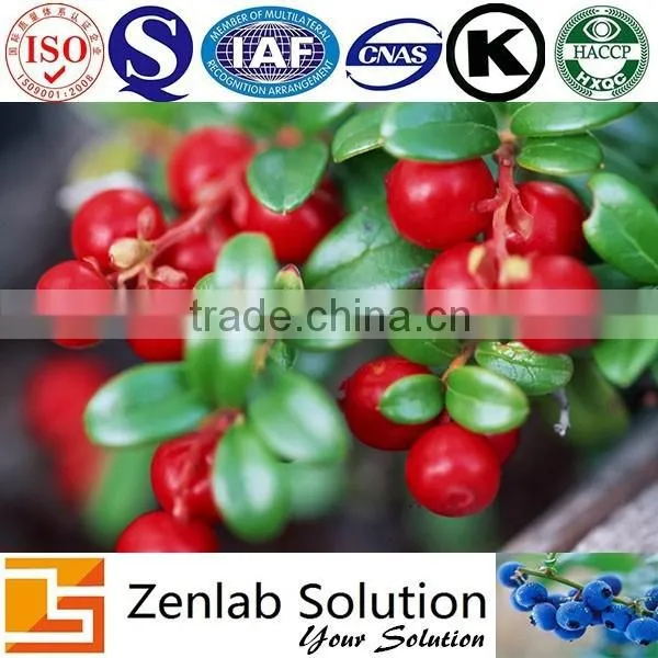 Lingonberry Anthocyanidins Plant Extract photo-4