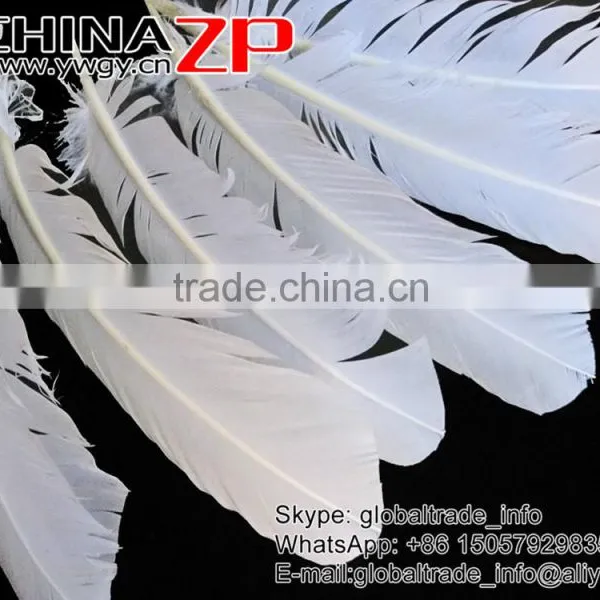Gold Supplier CHINAZP Cheap Bulk Plume Dyed Snow White Solid Color Turkey Feather for Sale photo-3