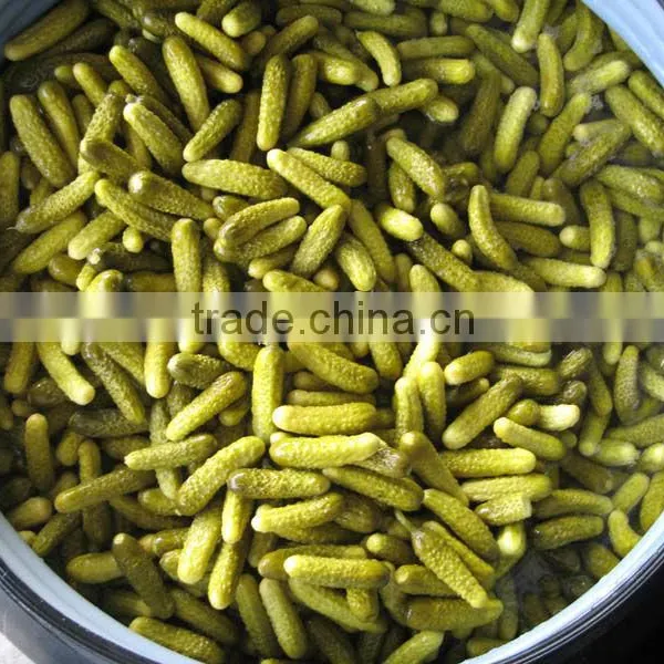 Gherkins Cucumbers Bulk Drums