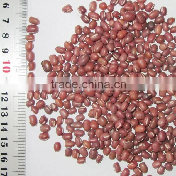 Small Size Adzuki Beans Red Ball Beans photo-4