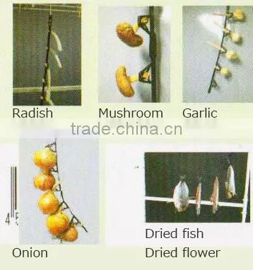 Japanese Kaki Persimmon Fruit Drying Clip Made in Japan photo-3